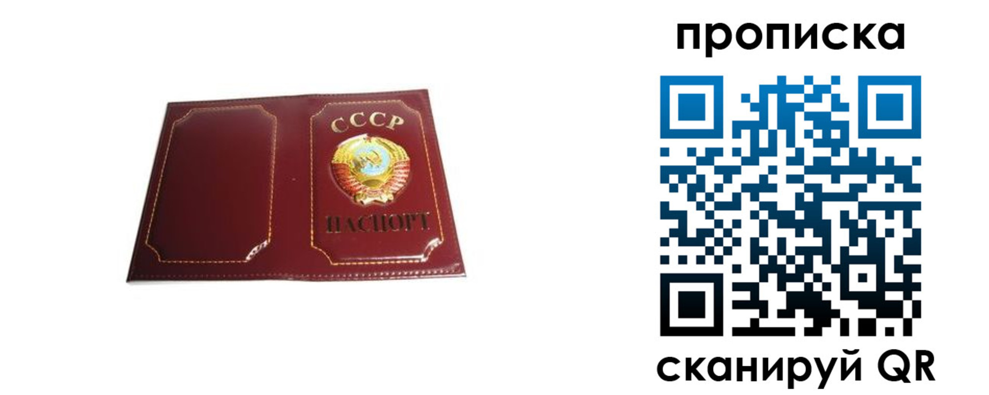 прописка гарантия в Красноармейске